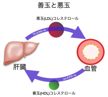 コレステロール.002
