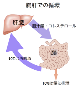 コレステロール.003